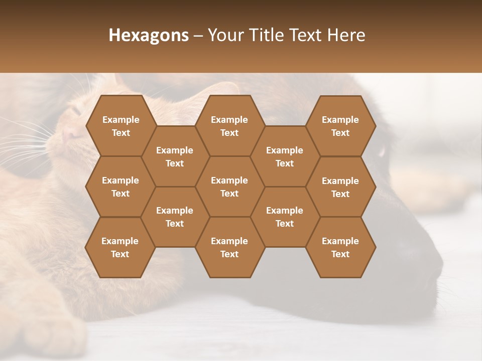 A Dog And A Cat Laying Next To Each Other PowerPoint Template