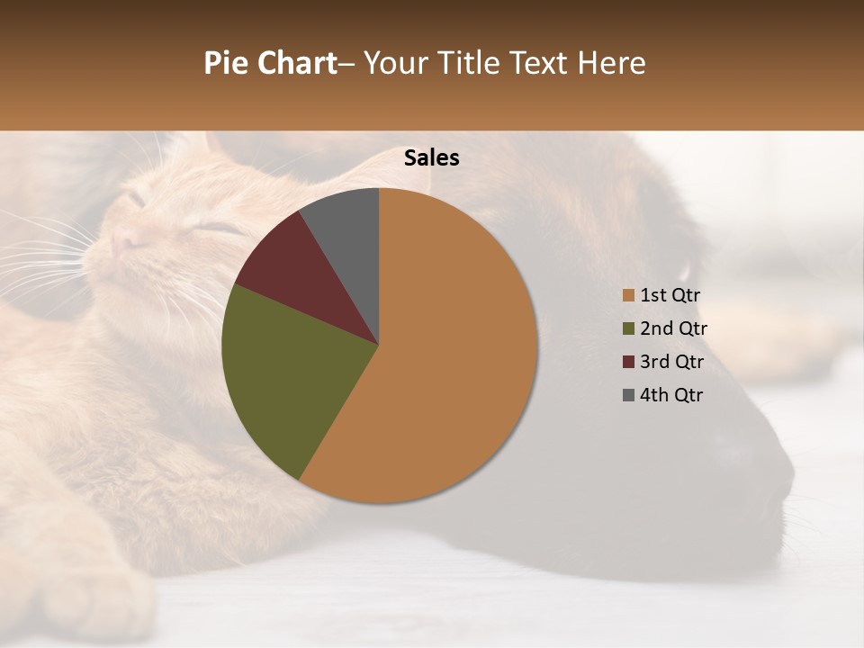 A Dog And A Cat Laying Next To Each Other PowerPoint Template