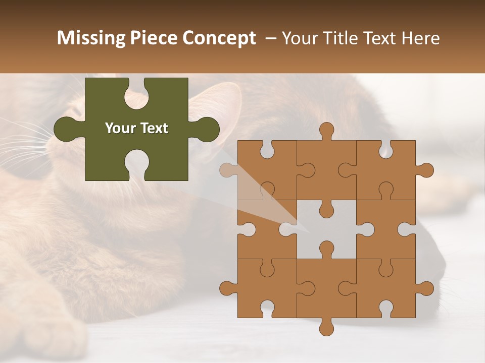 A Dog And A Cat Laying Next To Each Other PowerPoint Template