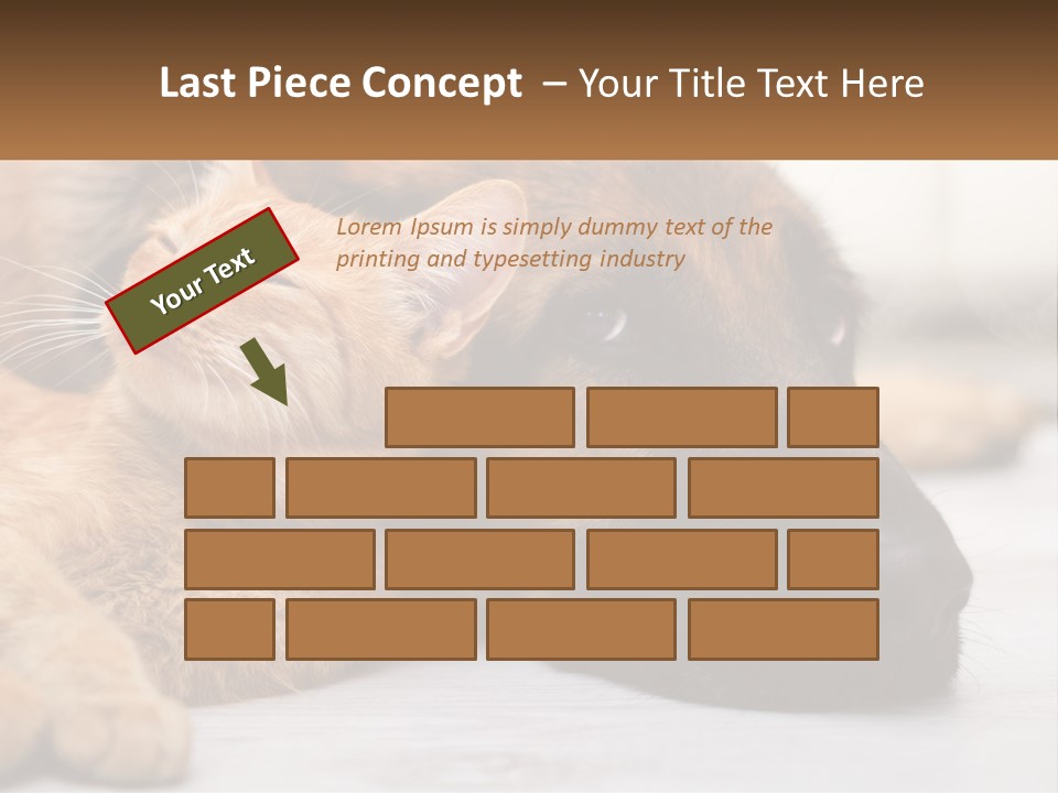 A Dog And A Cat Laying Next To Each Other PowerPoint Template