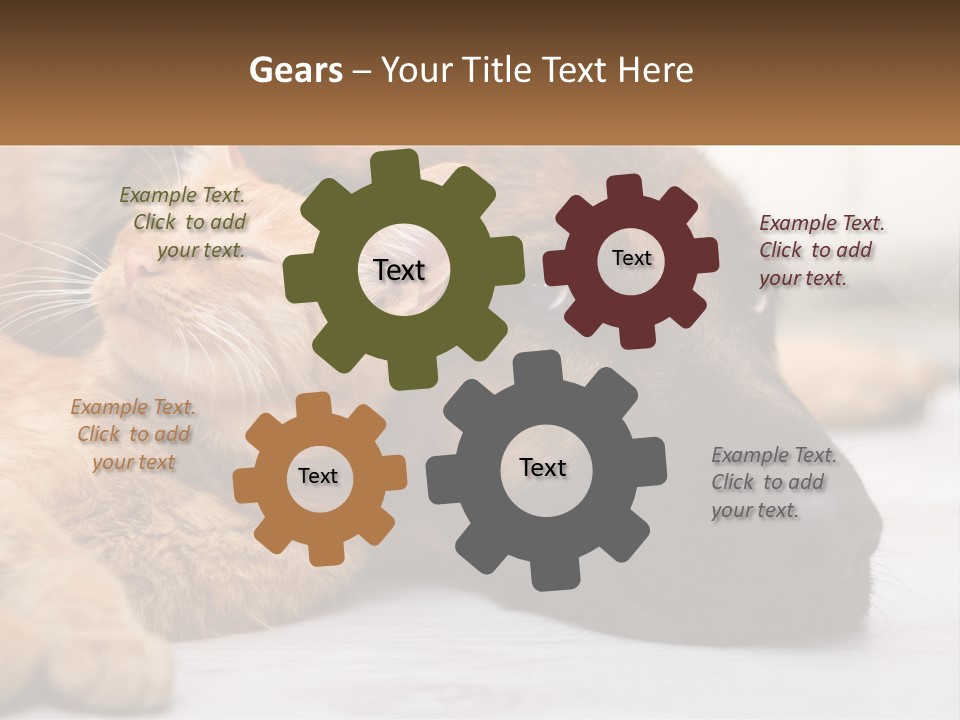A Dog And A Cat Laying Next To Each Other PowerPoint Template