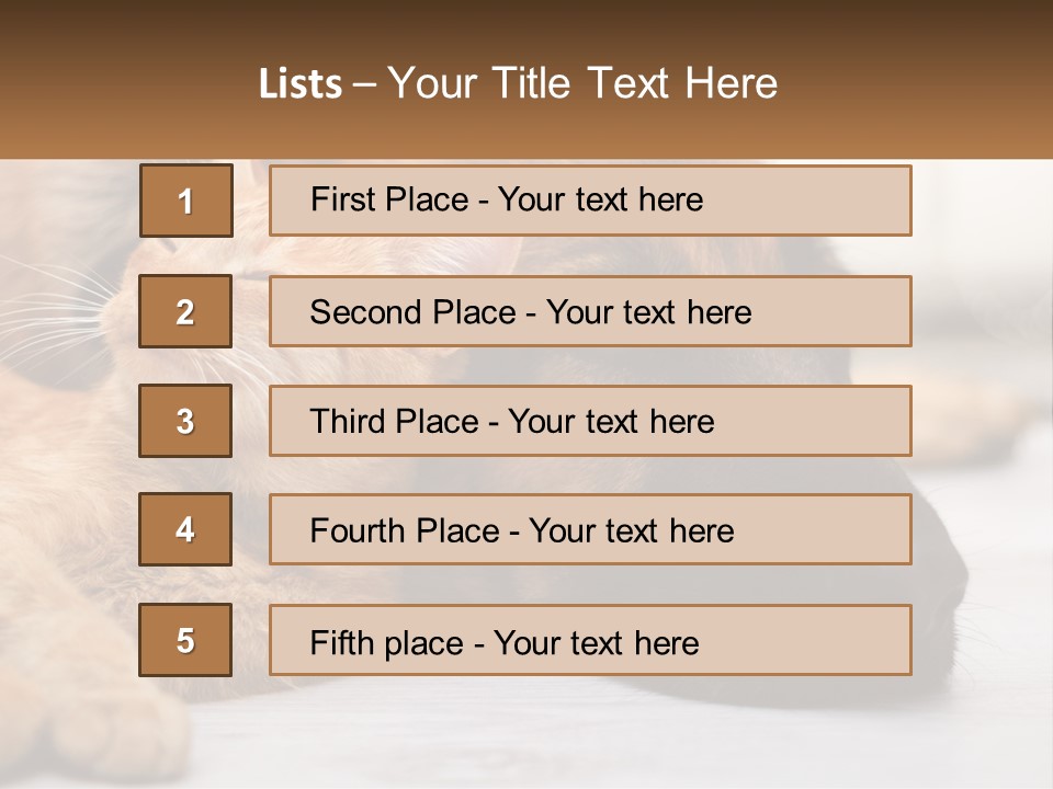 A Dog And A Cat Laying Next To Each Other PowerPoint Template