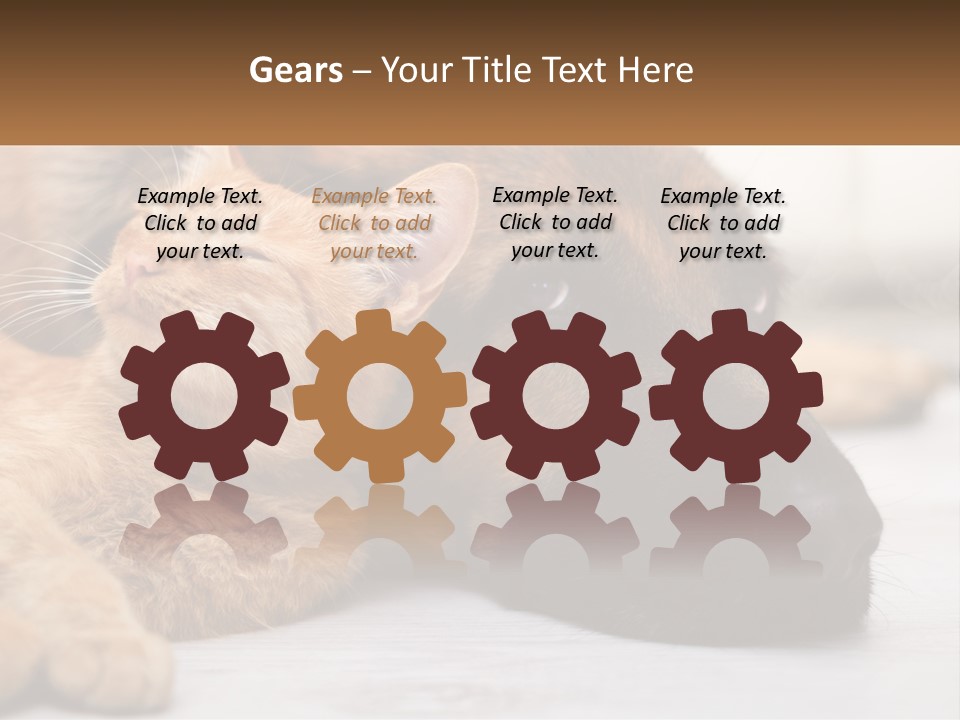 A Dog And A Cat Laying Next To Each Other PowerPoint Template