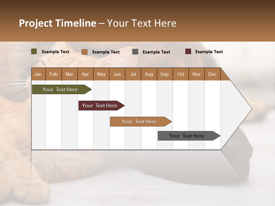 A Dog And A Cat Laying Next To Each Other PowerPoint Template
