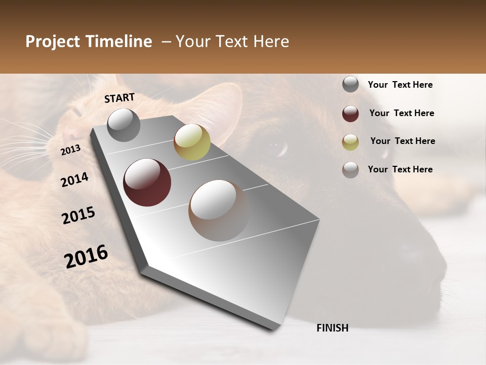 A Dog And A Cat Laying Next To Each Other PowerPoint Template