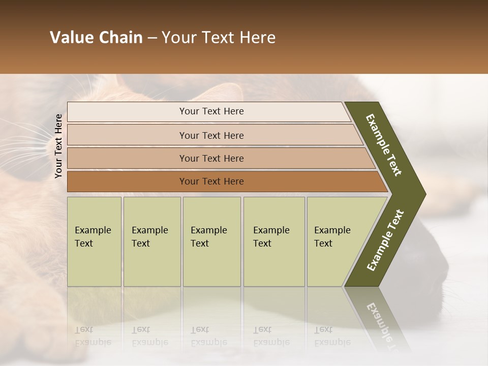 A Dog And A Cat Laying Next To Each Other PowerPoint Template