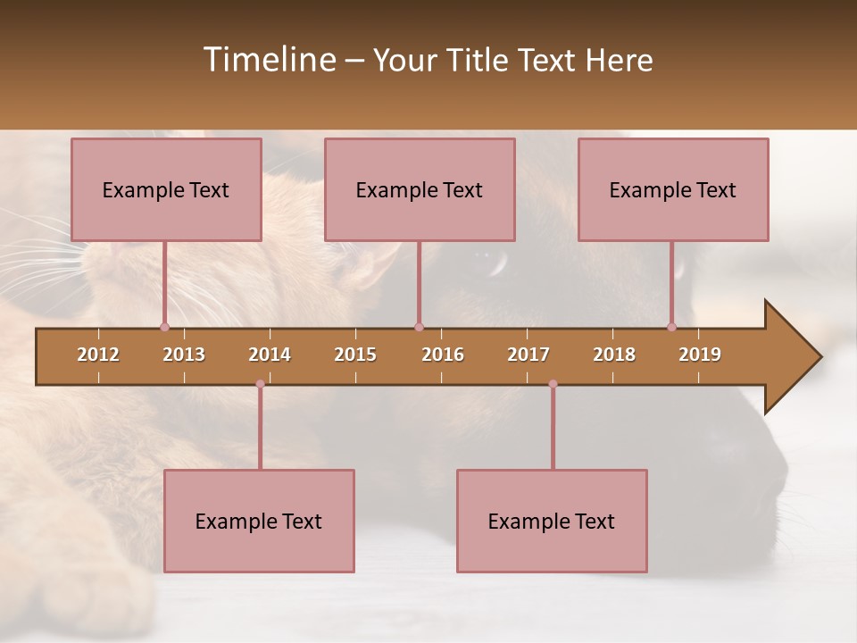 A Dog And A Cat Laying Next To Each Other PowerPoint Template