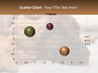 A Dog And A Cat Laying Next To Each Other PowerPoint Template