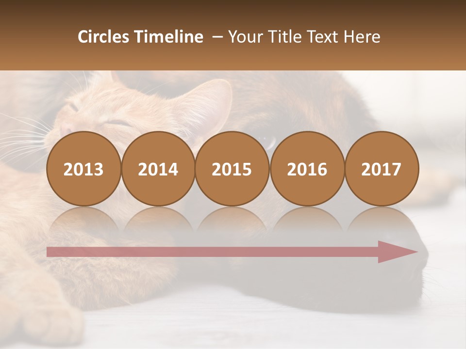 A Dog And A Cat Laying Next To Each Other PowerPoint Template