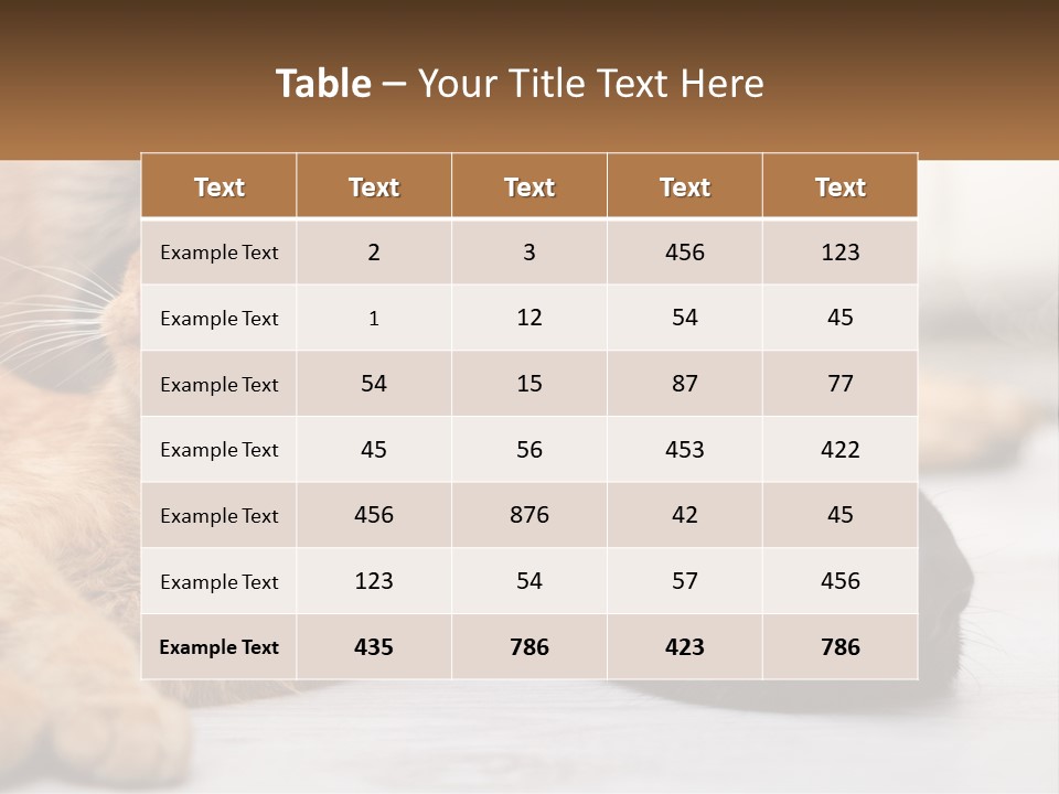 A Dog And A Cat Laying Next To Each Other PowerPoint Template