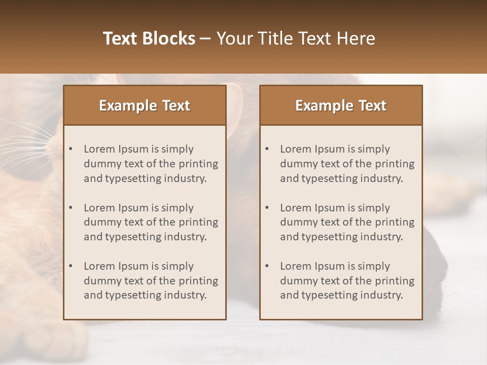 A Dog And A Cat Laying Next To Each Other PowerPoint Template