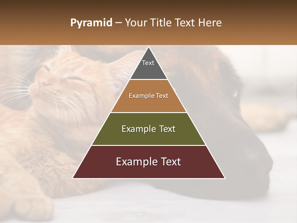 A Dog And A Cat Laying Next To Each Other PowerPoint Template