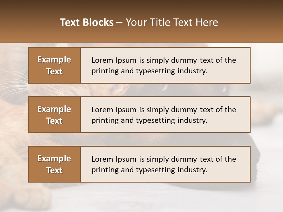 A Dog And A Cat Laying Next To Each Other PowerPoint Template