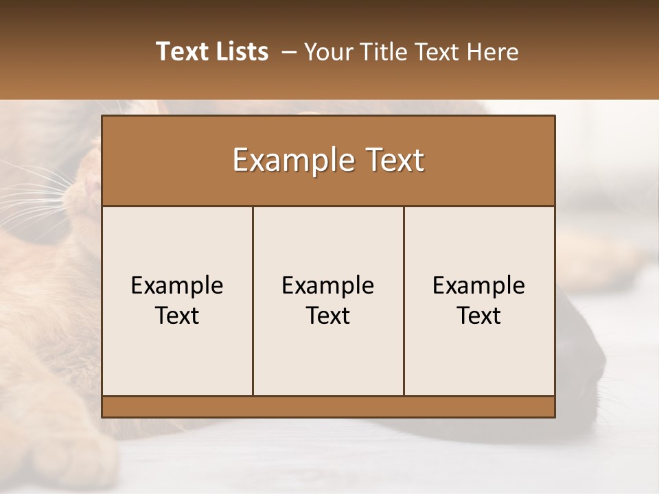 A Dog And A Cat Laying Next To Each Other PowerPoint Template