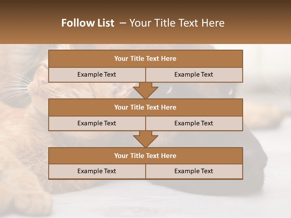 A Dog And A Cat Laying Next To Each Other PowerPoint Template