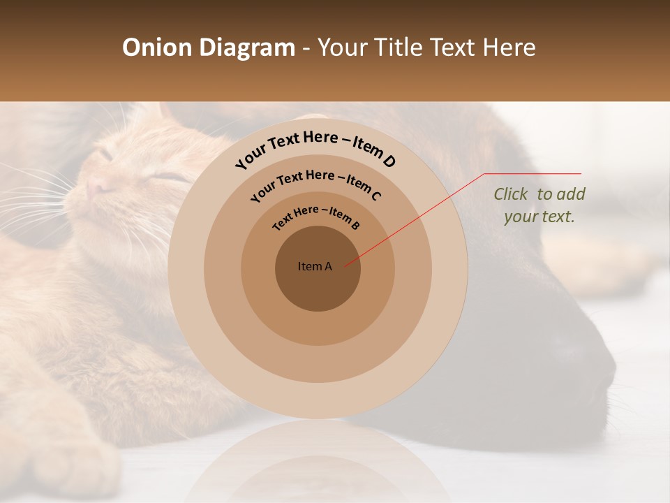 A Dog And A Cat Laying Next To Each Other PowerPoint Template