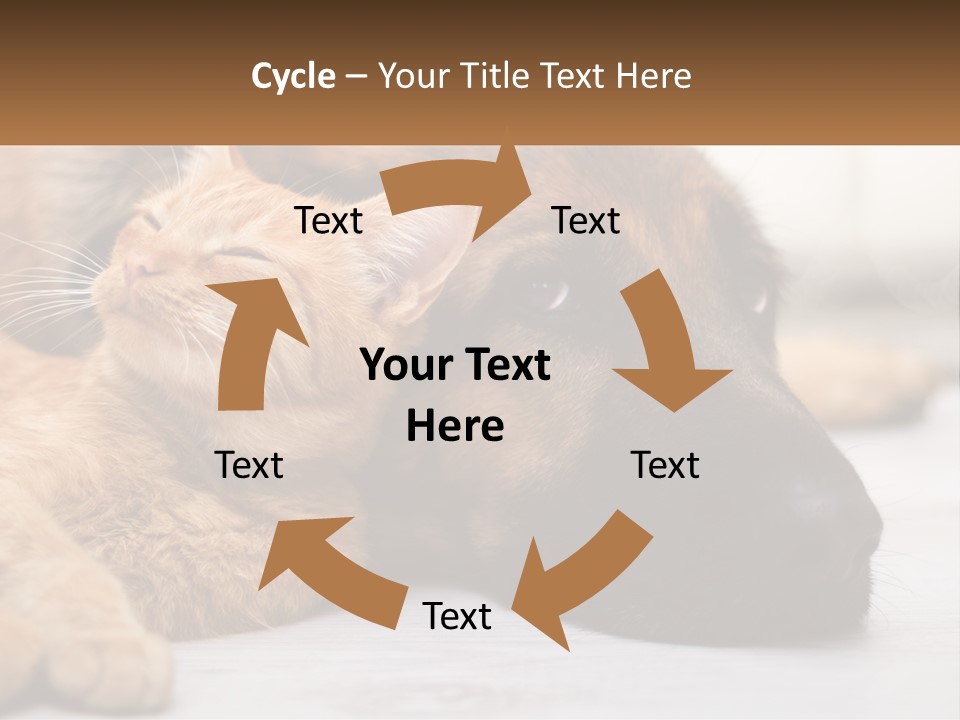A Dog And A Cat Laying Next To Each Other PowerPoint Template