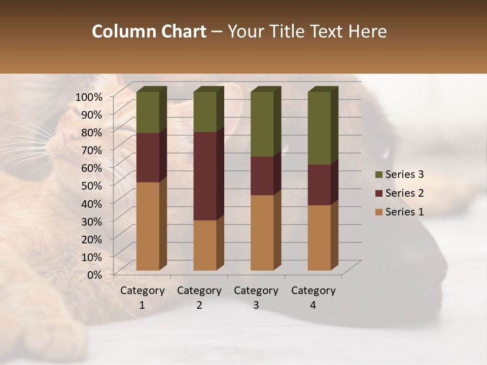 A Dog And A Cat Laying Next To Each Other PowerPoint Template