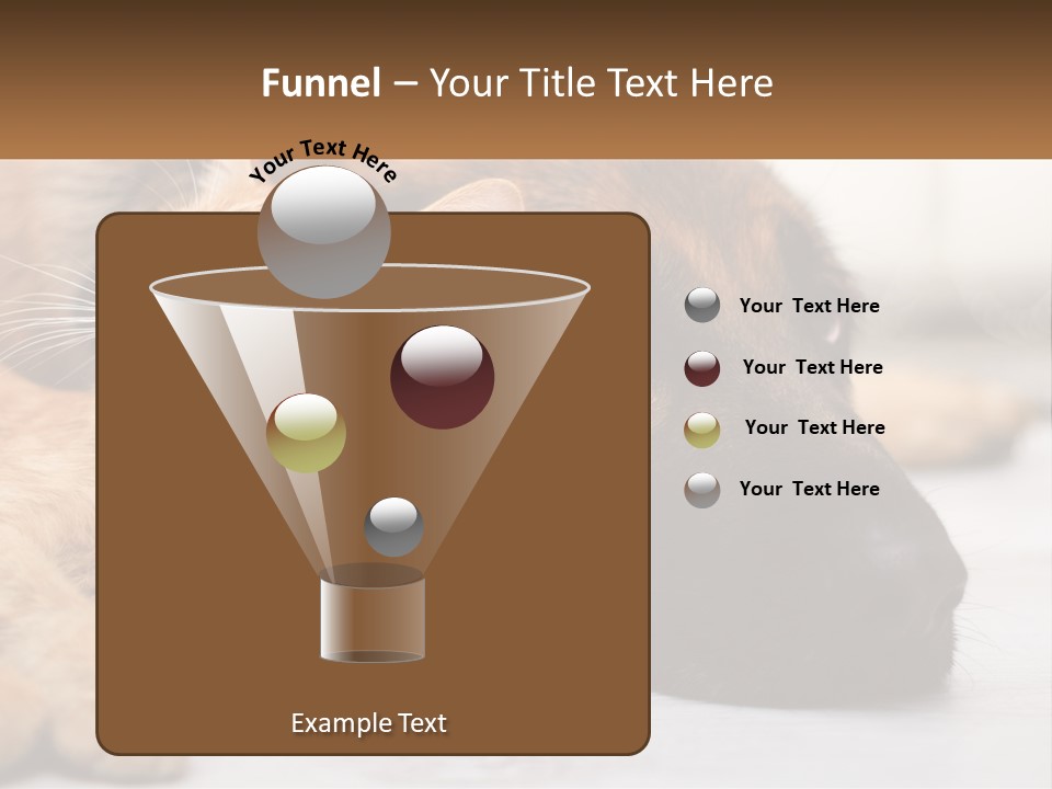 A Dog And A Cat Laying Next To Each Other PowerPoint Template