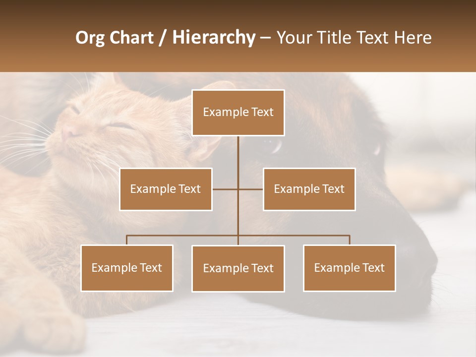 A Dog And A Cat Laying Next To Each Other PowerPoint Template