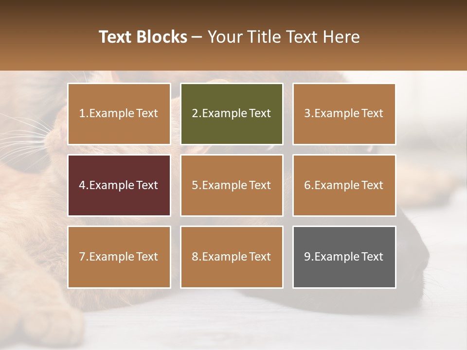 A Dog And A Cat Laying Next To Each Other PowerPoint Template