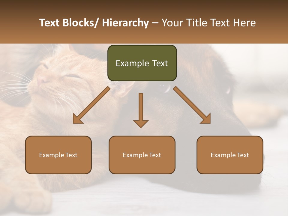 A Dog And A Cat Laying Next To Each Other PowerPoint Template