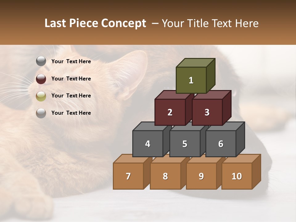 A Dog And A Cat Laying Next To Each Other PowerPoint Template