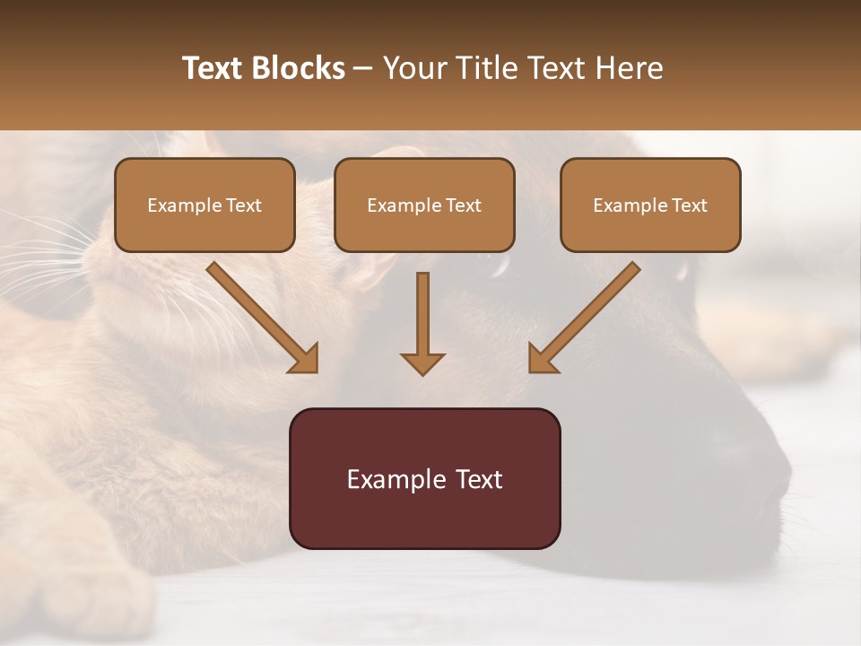 A Dog And A Cat Laying Next To Each Other PowerPoint Template