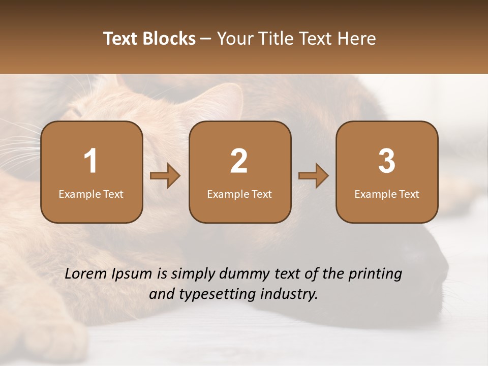 A Dog And A Cat Laying Next To Each Other PowerPoint Template