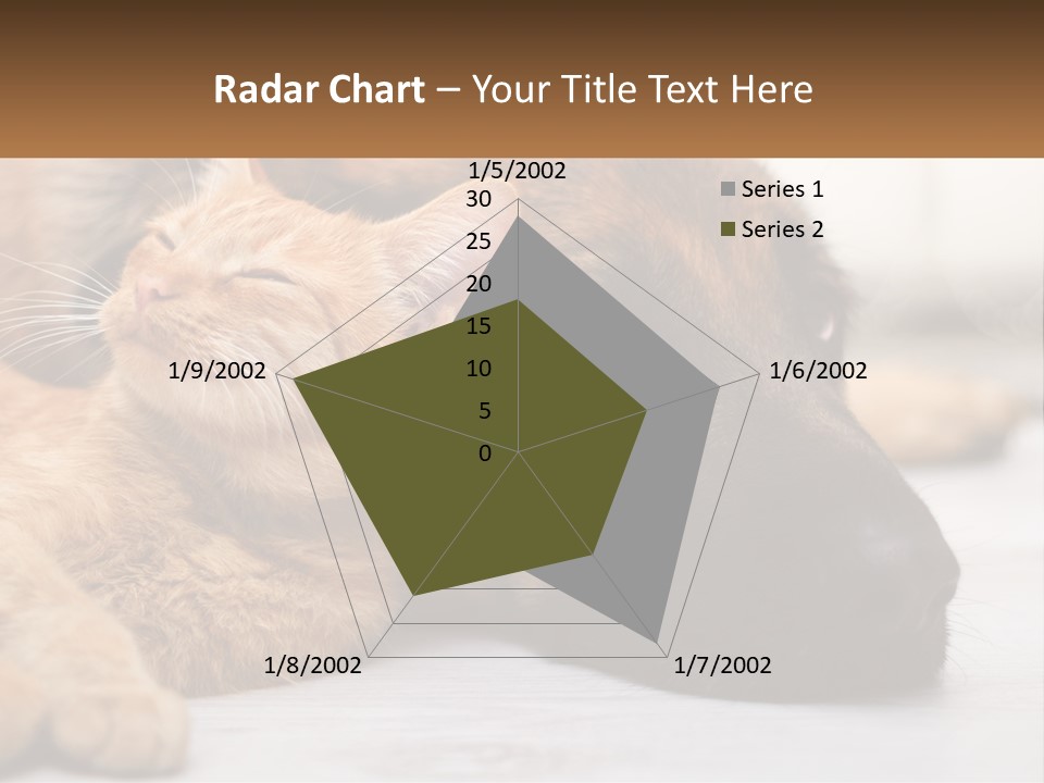 A Dog And A Cat Laying Next To Each Other PowerPoint Template