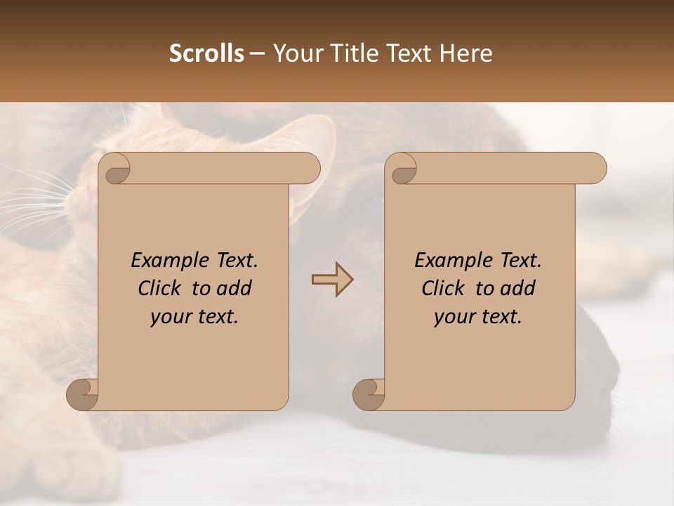 A Dog And A Cat Laying Next To Each Other PowerPoint Template