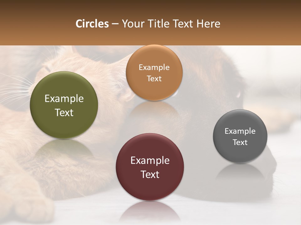 A Dog And A Cat Laying Next To Each Other PowerPoint Template