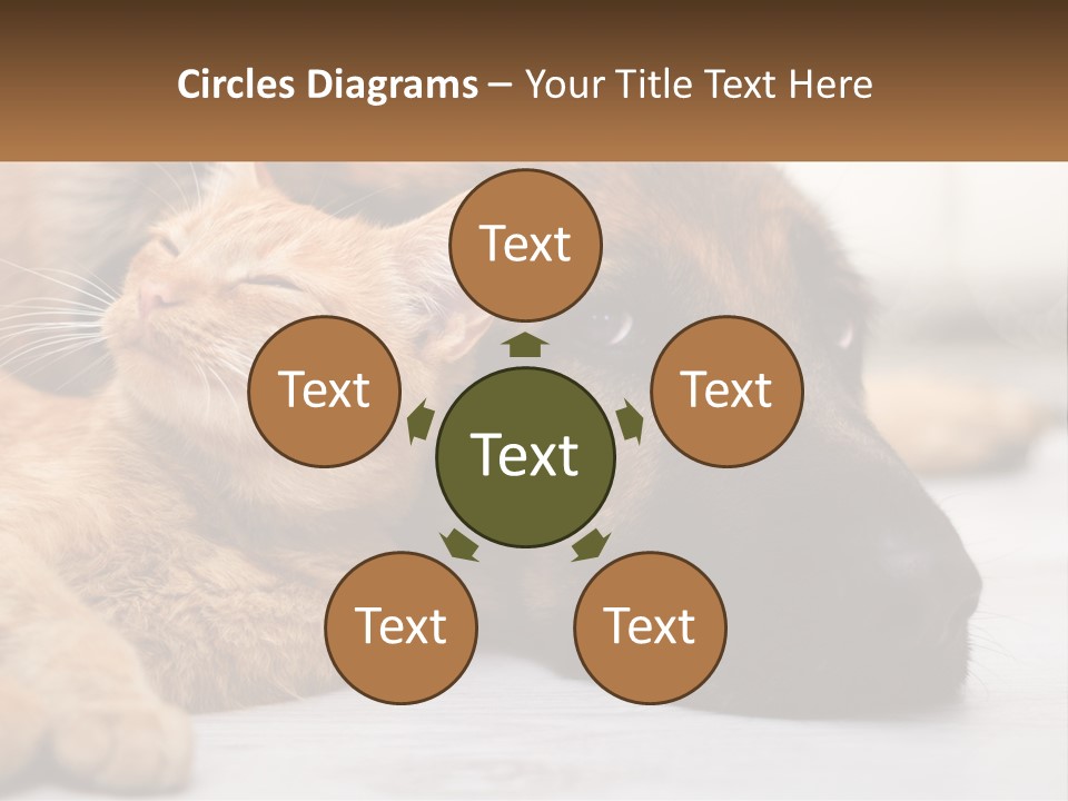 A Dog And A Cat Laying Next To Each Other PowerPoint Template