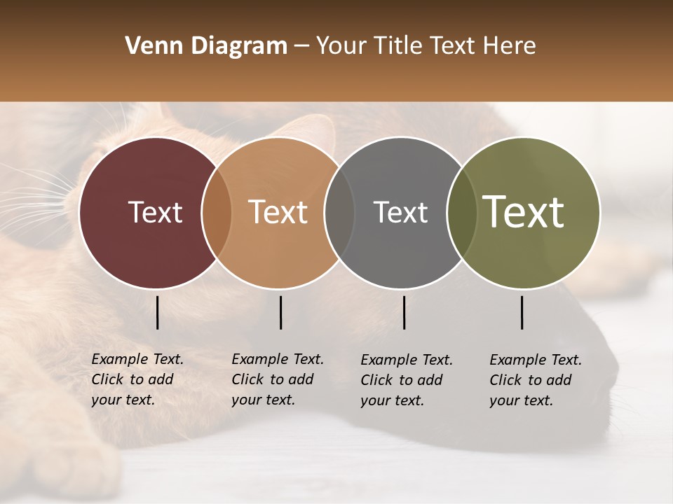 A Dog And A Cat Laying Next To Each Other PowerPoint Template