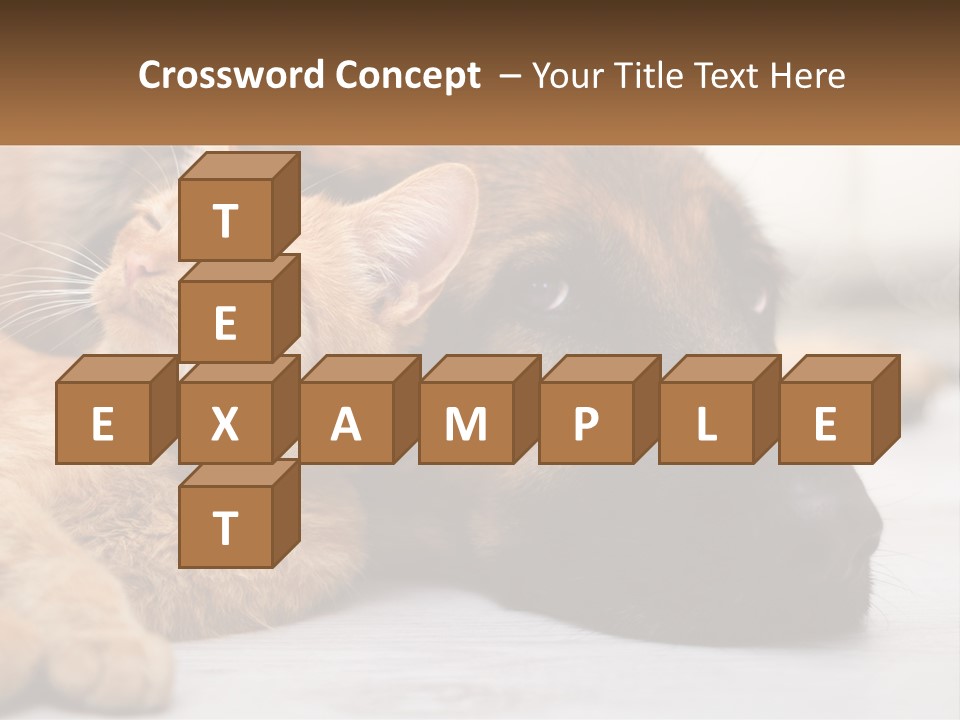 A Dog And A Cat Laying Next To Each Other PowerPoint Template