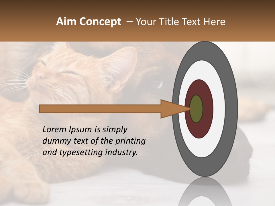 A Dog And A Cat Laying Next To Each Other PowerPoint Template