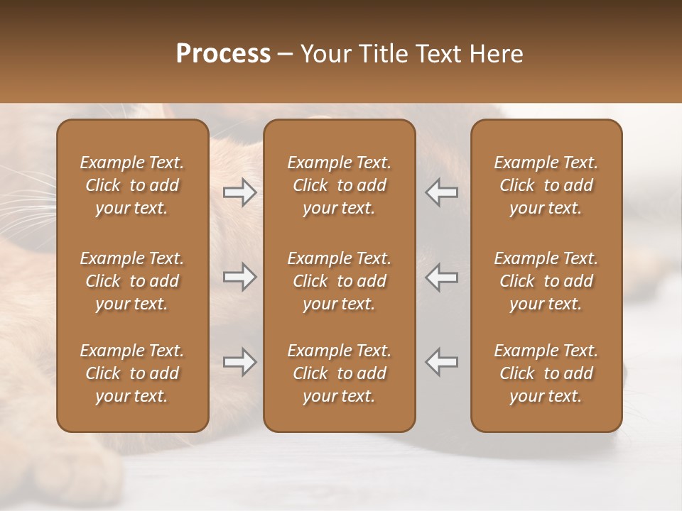 A Dog And A Cat Laying Next To Each Other PowerPoint Template