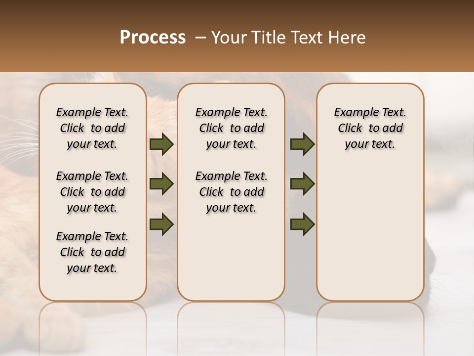 A Dog And A Cat Laying Next To Each Other PowerPoint Template