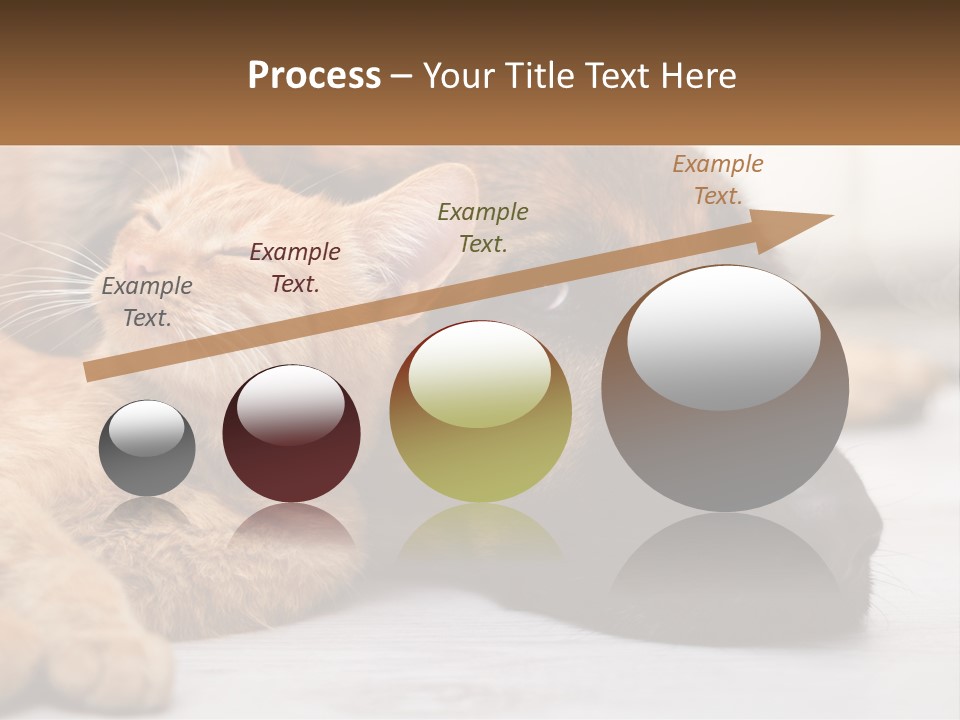 A Dog And A Cat Laying Next To Each Other PowerPoint Template