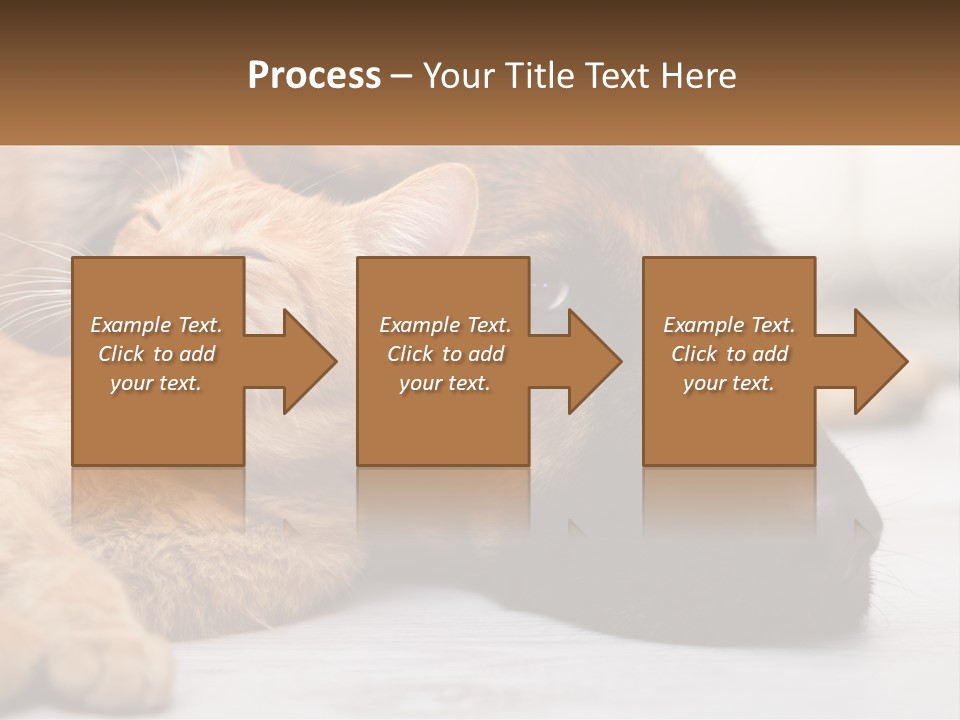 A Dog And A Cat Laying Next To Each Other PowerPoint Template