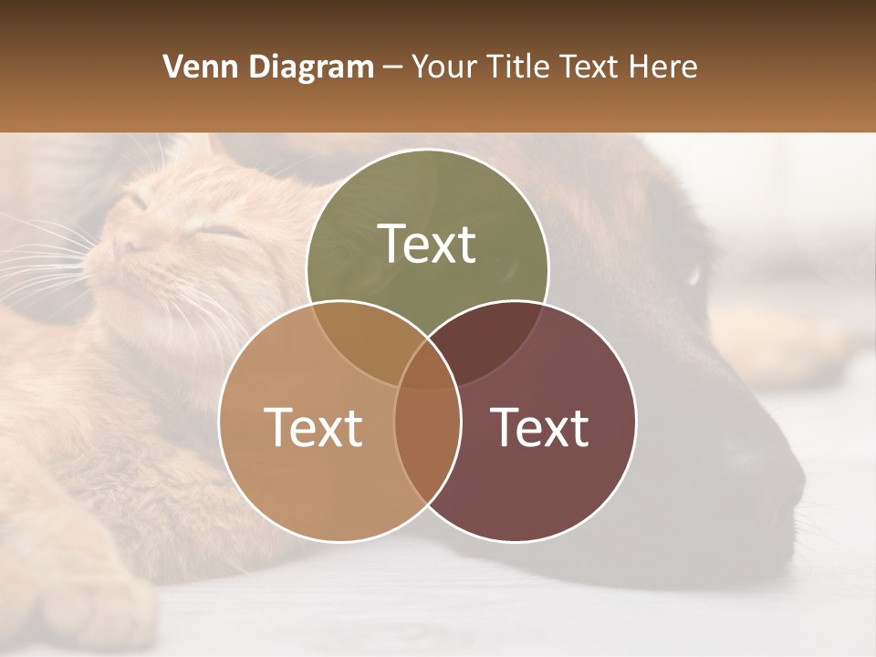A Dog And A Cat Laying Next To Each Other PowerPoint Template