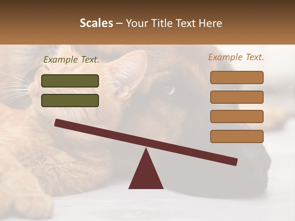 A Dog And A Cat Laying Next To Each Other PowerPoint Template