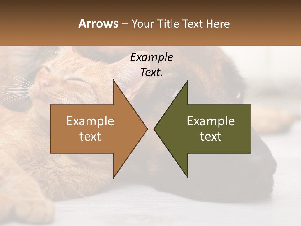 A Dog And A Cat Laying Next To Each Other PowerPoint Template
