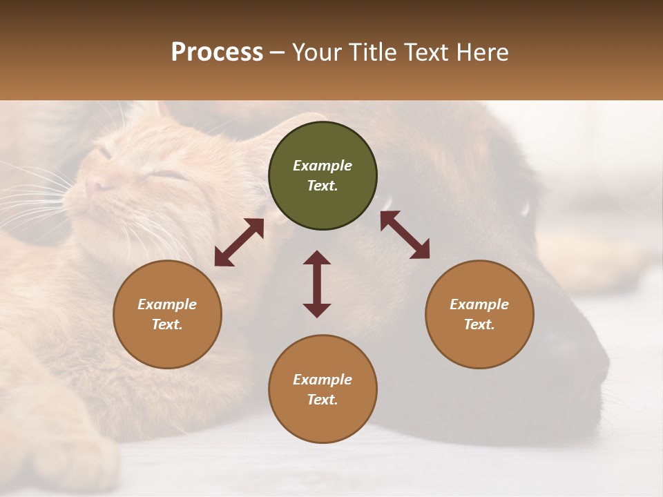 A Dog And A Cat Laying Next To Each Other PowerPoint Template