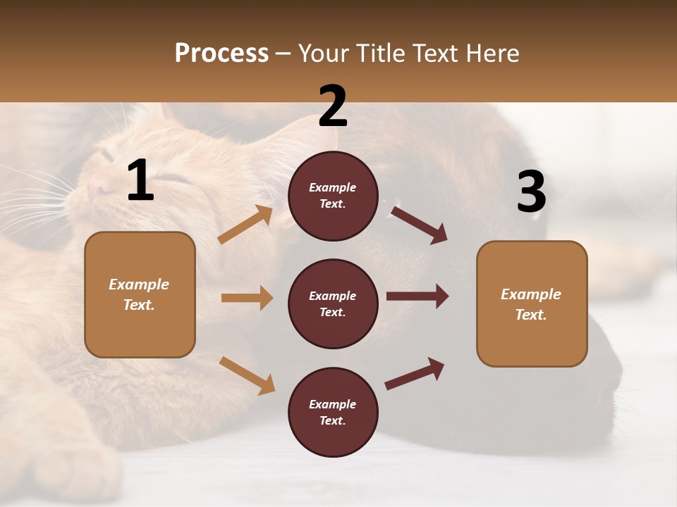 A Dog And A Cat Laying Next To Each Other PowerPoint Template
