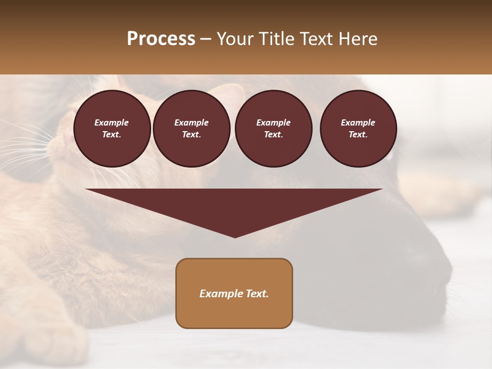 A Dog And A Cat Laying Next To Each Other PowerPoint Template