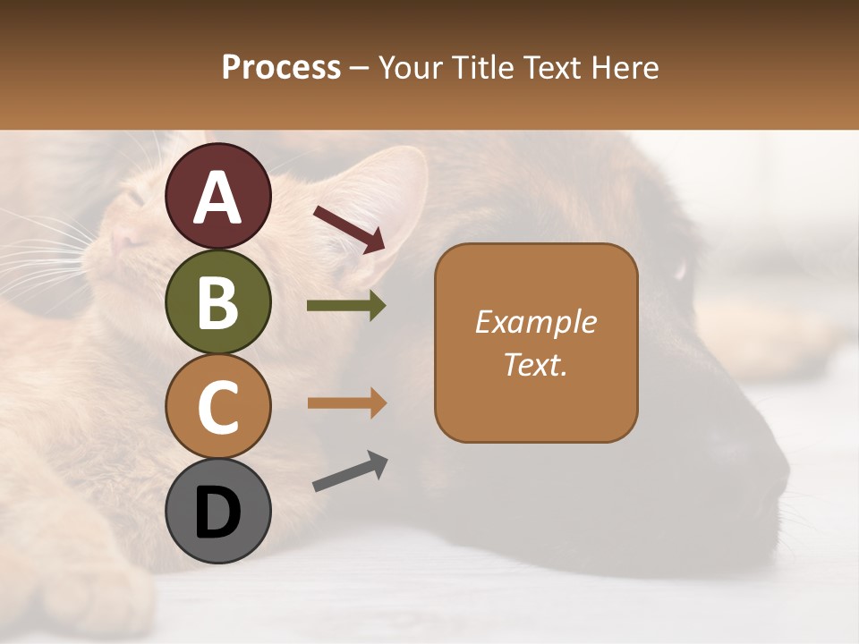 A Dog And A Cat Laying Next To Each Other PowerPoint Template