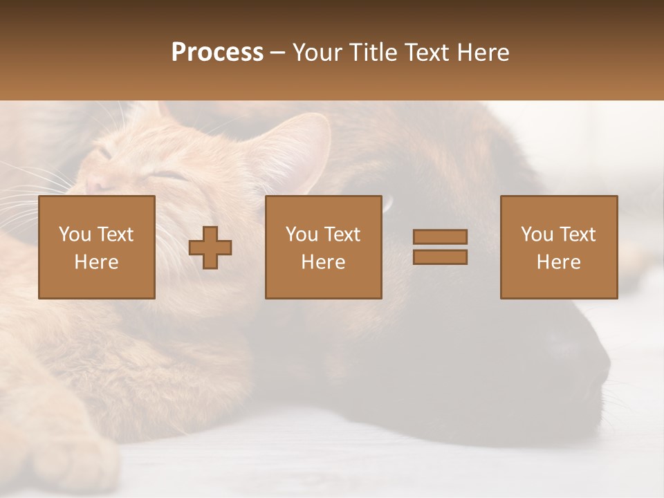 A Dog And A Cat Laying Next To Each Other PowerPoint Template