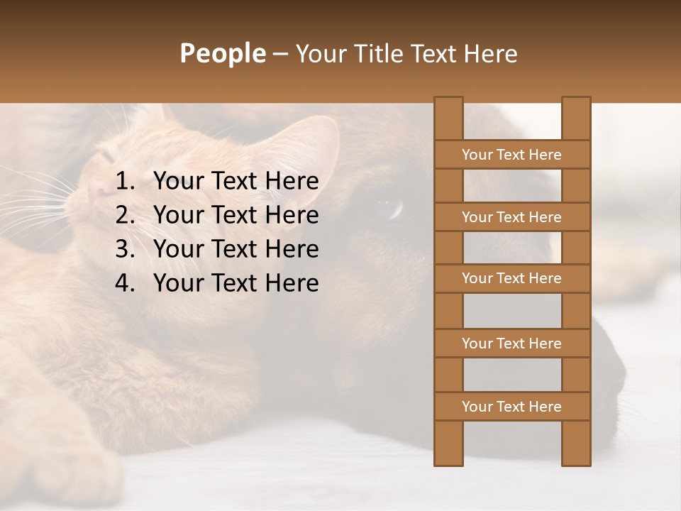 A Dog And A Cat Laying Next To Each Other PowerPoint Template