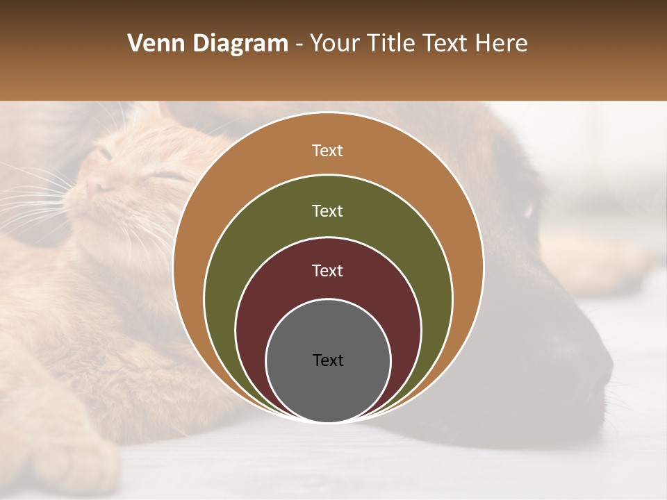 A Dog And A Cat Laying Next To Each Other PowerPoint Template